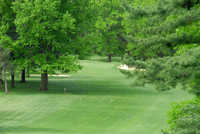 Walnut Hill