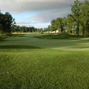 Grey Hawk GC