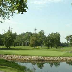 Dragon Ranch GC: island green