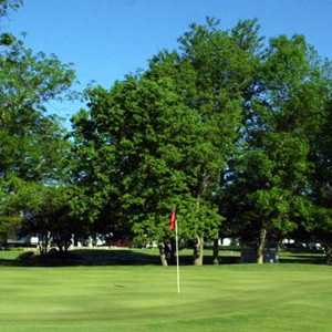 Foxfire GC