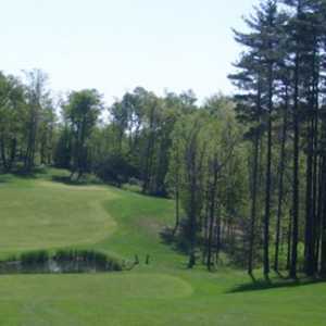 Tree Links GC