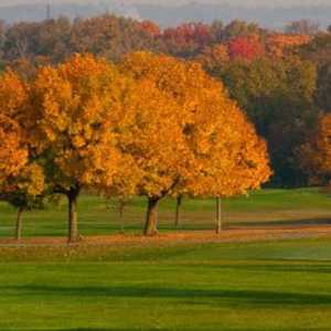 Hamilton Elks CC