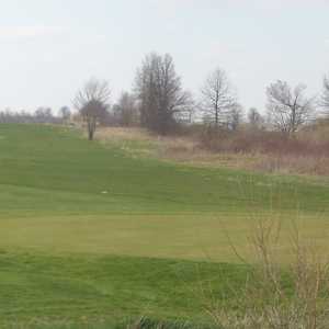 Big Walnut GC: #8