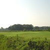 A view of the 3rd hole at White Pines Golf Course