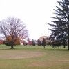 A fall view from Sleepy Hollow Golf Club