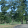 A view from Turtle Creek Golf Course