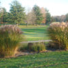 A view of a green at Forest Hills Golf Course