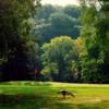 A view of a green at Sycamore Valley Golf Course (Bryan Edwards)