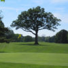 A view of a green at Thunderbird Hills Golf Course