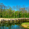A view of green with water in foreground at Little Turtle Country Club