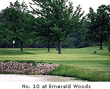 No. 10 at Emerald Woods 