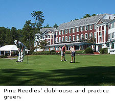 Pine Needles