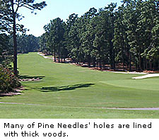 Pine Needles