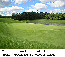 No. 17 at Avalon Lakes Golf Club