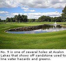 No. 9 at Avalon Lakes Golf Club