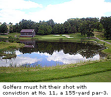 No. 11 at Black Diamond Golf Course