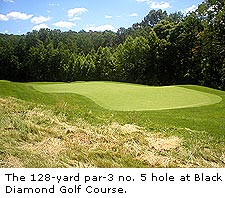 No. 5 at Black Diamond Golf Course