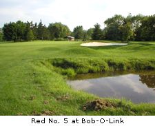 Red No. 5 at Bob-O-Link
