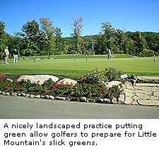 Little Mountain Country Club