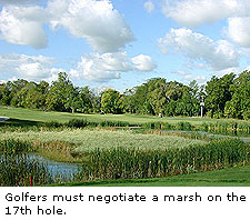 Golf At Sugar Creek