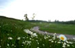 MidatlanticGolf.com